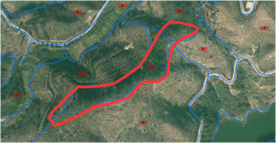 rtk在林业测量中有哪些应用? - 徕卡全站仪|科力达全站仪|拓普康全站